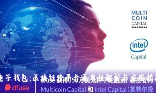 电子钱包：区块链跨平台通用性解析与应用指南