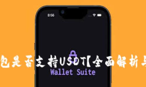 Ledger钱包是否支持USDT？全面解析与使用指南