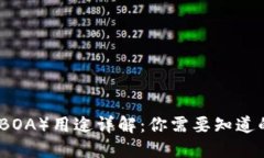 波币（BOA）用途详解：你