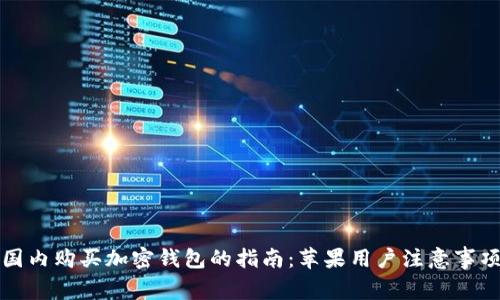 国内购买加密钱包的指南：苹果用户注意事项