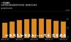 小狐钱包如何添加Core代币
