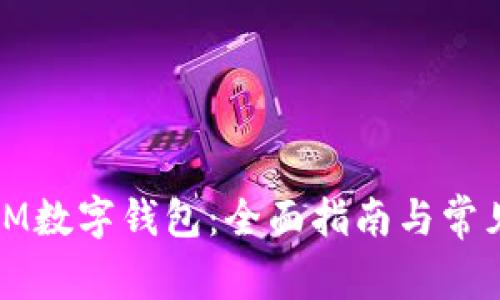 如何创建IM数字钱包：全面指南与常见问题解答