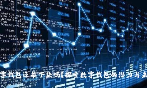 数字钱包还能下款吗？探索数字钱包的潜力与未来