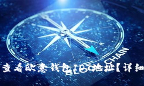 如何查看欧意钱包IDT地址？详细指南