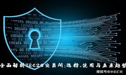 全面解析TRC20交易所：选择、使用与未来趋势