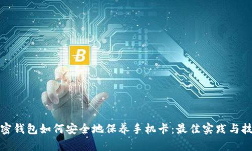 加密钱包如何安全地保养手机卡：最佳实践与技巧