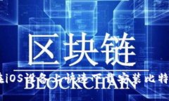 如何在iOS设备上快速下载