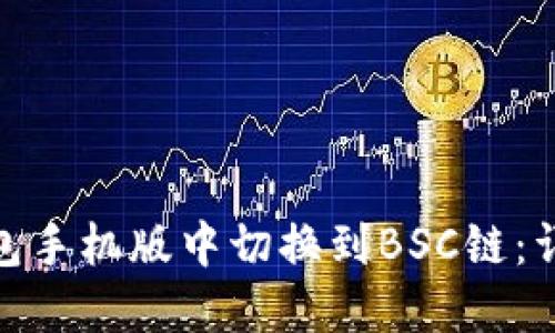 如何在小狐钱包手机版中切换到BSC链：详细指南与步骤