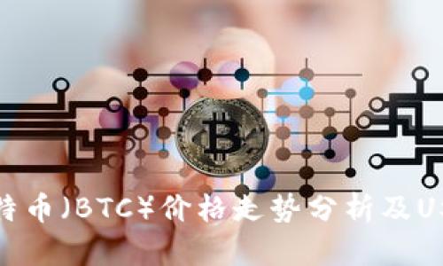 今日比特币（BTC）价格走势分析及USDT影响