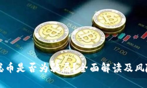 中本聪币是否为骗局？全面解读及风险评估