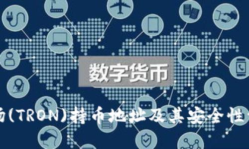 波场(TRON)持币地址及其安全性详解