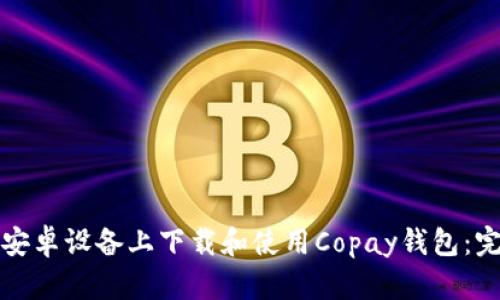 如何在安卓设备上下载和使用Copay钱包：完整指南