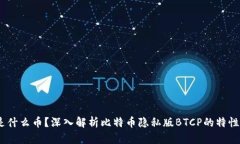BTCP是什么币？深入解析比