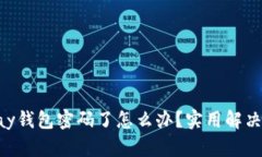 忘记Topay钱包密码了怎么办