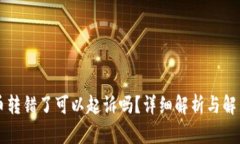 虚拟币转错了可以起诉吗