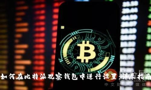 如何在比特派观察钱包中进行设置：详尽指南