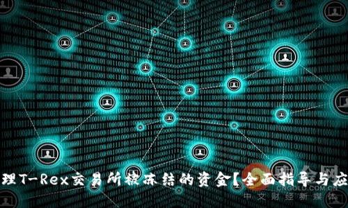 如何处理T-Rex交易所被冻结的资金？全面指导与应对策略