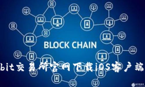 如何从Bybit交易所官网下载iOS客户端：完整指南