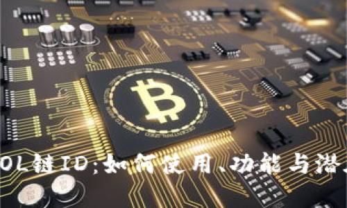 了解SOL链ID：如何使用、功能与潜在价值