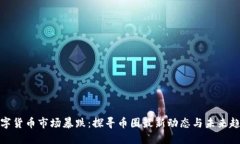 数字货币市场暴跌：探寻