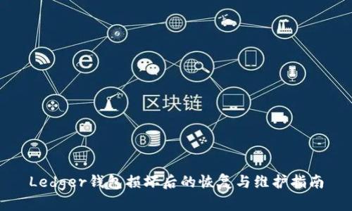 Ledger钱包损坏后的恢复与维护指南