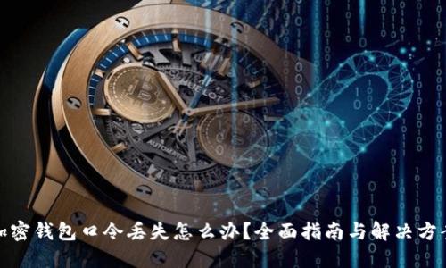 加密钱包口令丢失怎么办？全面指南与解决方案