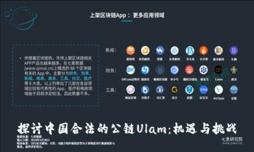 探讨中国合法的公链Ulam：机遇与挑战