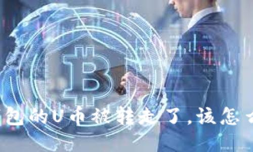 冷钱包的U币被转走了，该怎么办？