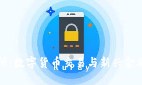 钱包交易所：数字货币交易与新兴金融的交汇点