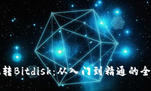 如何玩转Bitdisk：从入门到精通的全面指南