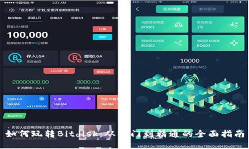 如何玩转Bitdisk：从入门到精通的全面指南