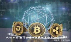 比特币猫：数字猫咪的区块链革命与趣味世界
