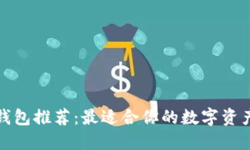 数字货币钱包推荐：最适合你的数字资产管理工具