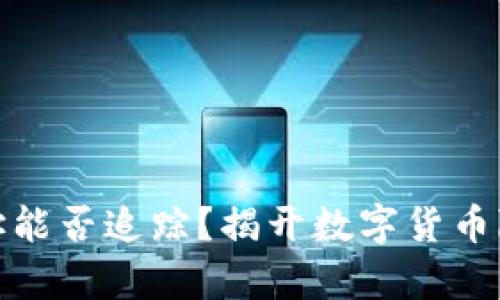 泰达币钱包地址能否追踪？揭开数字货币隐私的神秘面纱