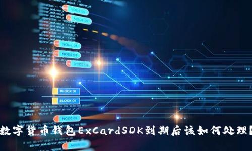 数字货币钱包ExCardSDK到期后该如何处理？