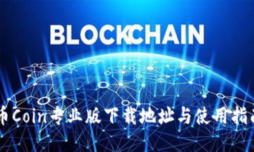 币Coin专业版下载地址与使用指南