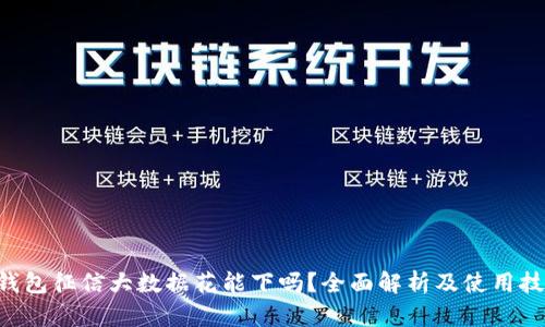 u钱包征信大数据花能下吗？全面解析及使用技巧