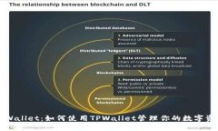 TPWallet：如何使用TPWallet管