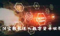 如何通过支付宝轻松进入