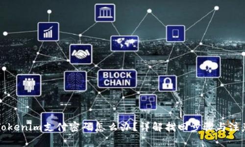 忘记Tokenim支付密码怎么办？详解找回步骤与注意事项