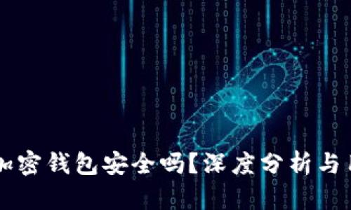 中文版加密钱包安全吗？深度分析与用户指南