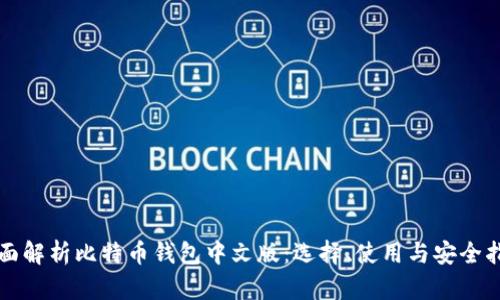 全面解析比特币钱包中文版：选择、使用与安全指南