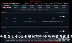 TRON是什么币？全面解析