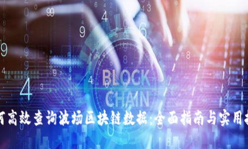 如何高效查询波场区块链数据：全面指南与实用技巧