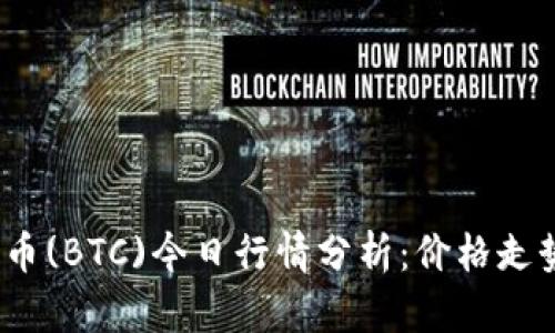 2023年比特币(BTC)今日行情分析：价格走势与市场趋势