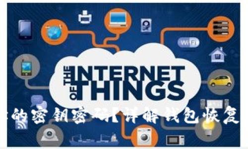 如何找回钱包地址的密钥密码？详解钱包恢复的方法与注意事项