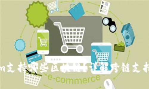 Tokenim支持哪些区块链？详解跨链支持和功能