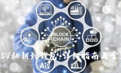 如何导入BSV私钥到钱包：