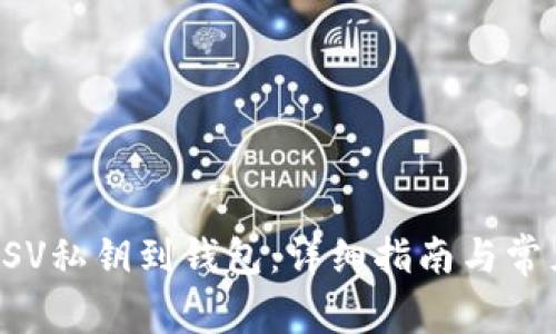 如何导入BSV私钥到钱包：详细指南与常见问题解答