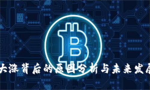 OK币大涨背后的原因分析与未来发展趋势